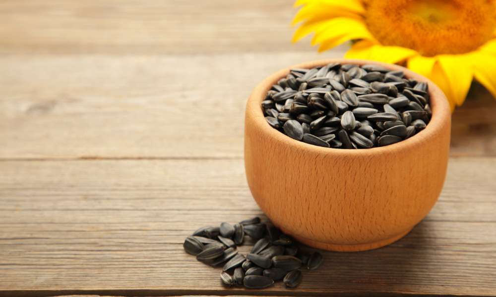 Snack Smart with Naveenya Sunflower Seeds – A Crunchy Bite of Nutrition